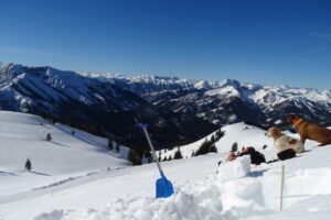 Eine Schaufel steckt im Schnee. Dahinter Blick auf verschneite Berge. Rechts sitzen zwei Hunde und schauen in die Berge