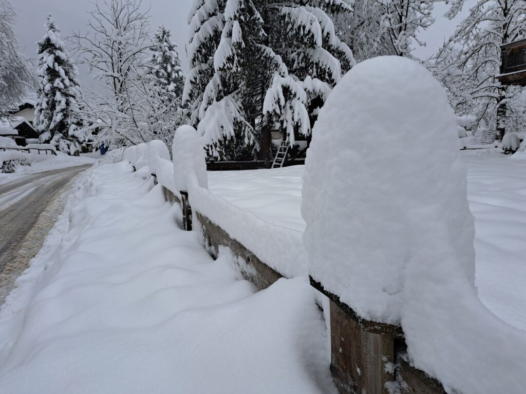Die Neuschneefälle Anfang Dezember waren so ergiebig, dass sich der Schnee auf Holzzäunen und Ästen mehrere Zentimeter hoch türmte.