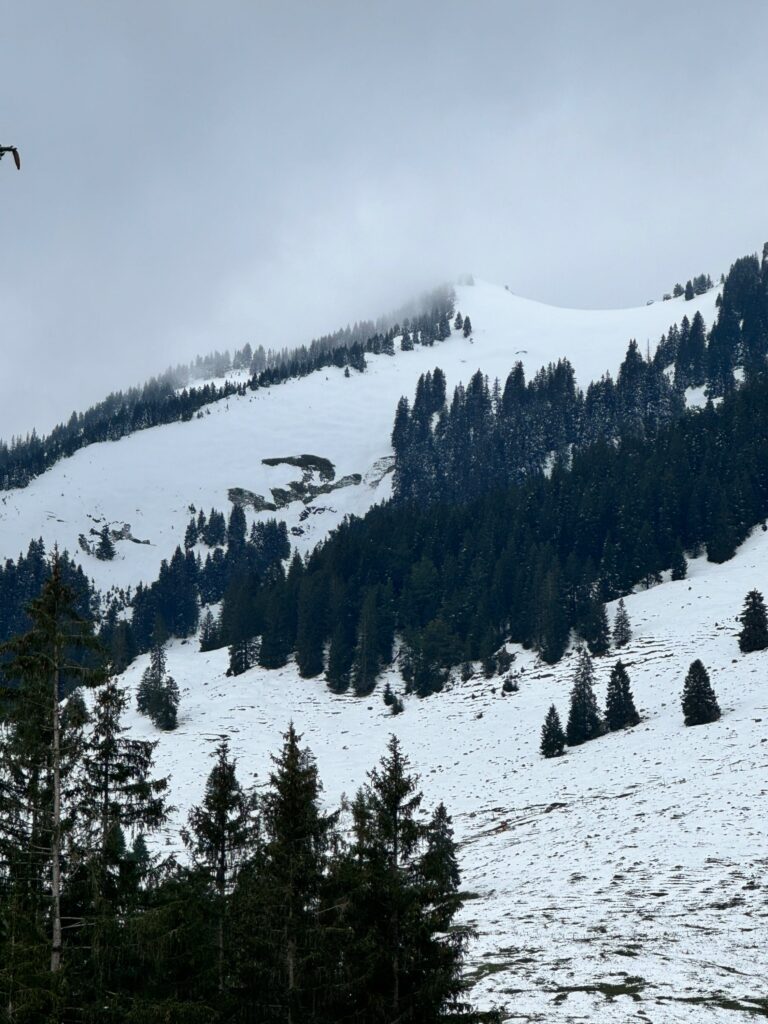 Gleitschneelawinen unterhalb des Wildalpjochs (15.09.2024, Bayerische Voralpen)