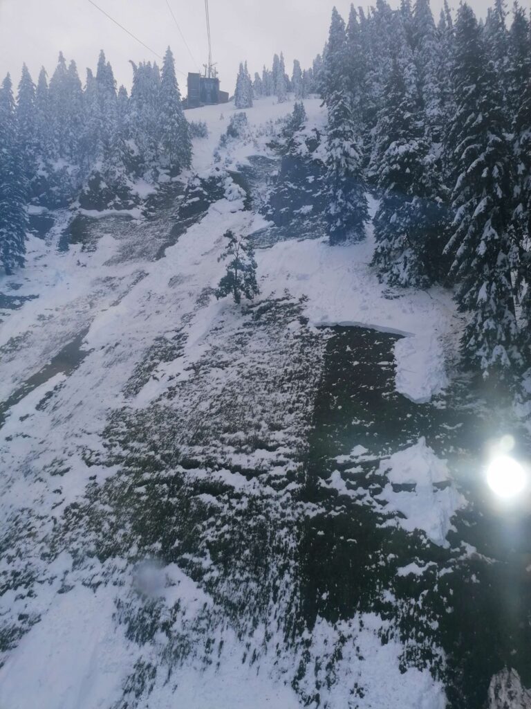 Blick aus der Laber-Bergbahn: einige, größere Gleitschneelawinen im sehr steilen Gelände (15.09.2024, Ammergauer Alpen)