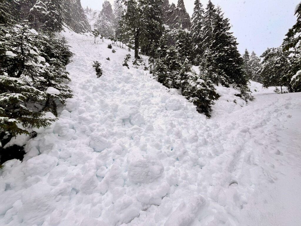 Nasse Lockerschneelawine am gesperrten Pürschlingweg (14.09.2024, Ammergauer Alpen)